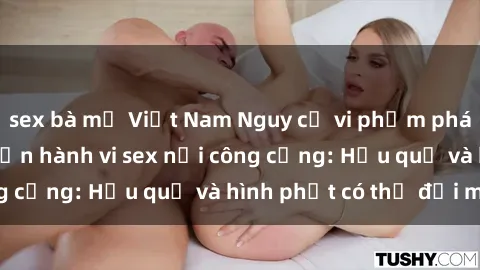 sex bà mẹ Việt Nam Nguy cơ vi phạm pháp luật khi thực hiện hành vi sex nơi công cộng: Hậu quả và hình phạt có thể đối mặt